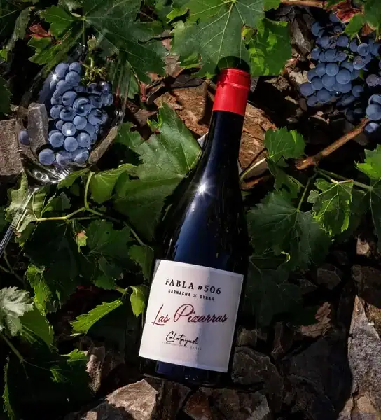 Las Pizarras - Fabla (vino tinto)